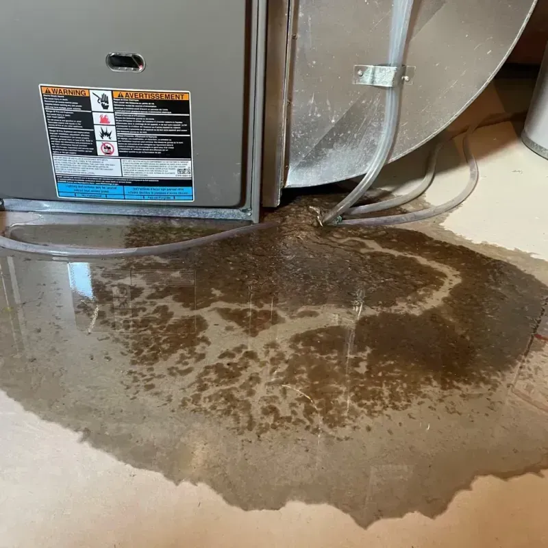 Appliance Leak Cleanup in Sterling, KS